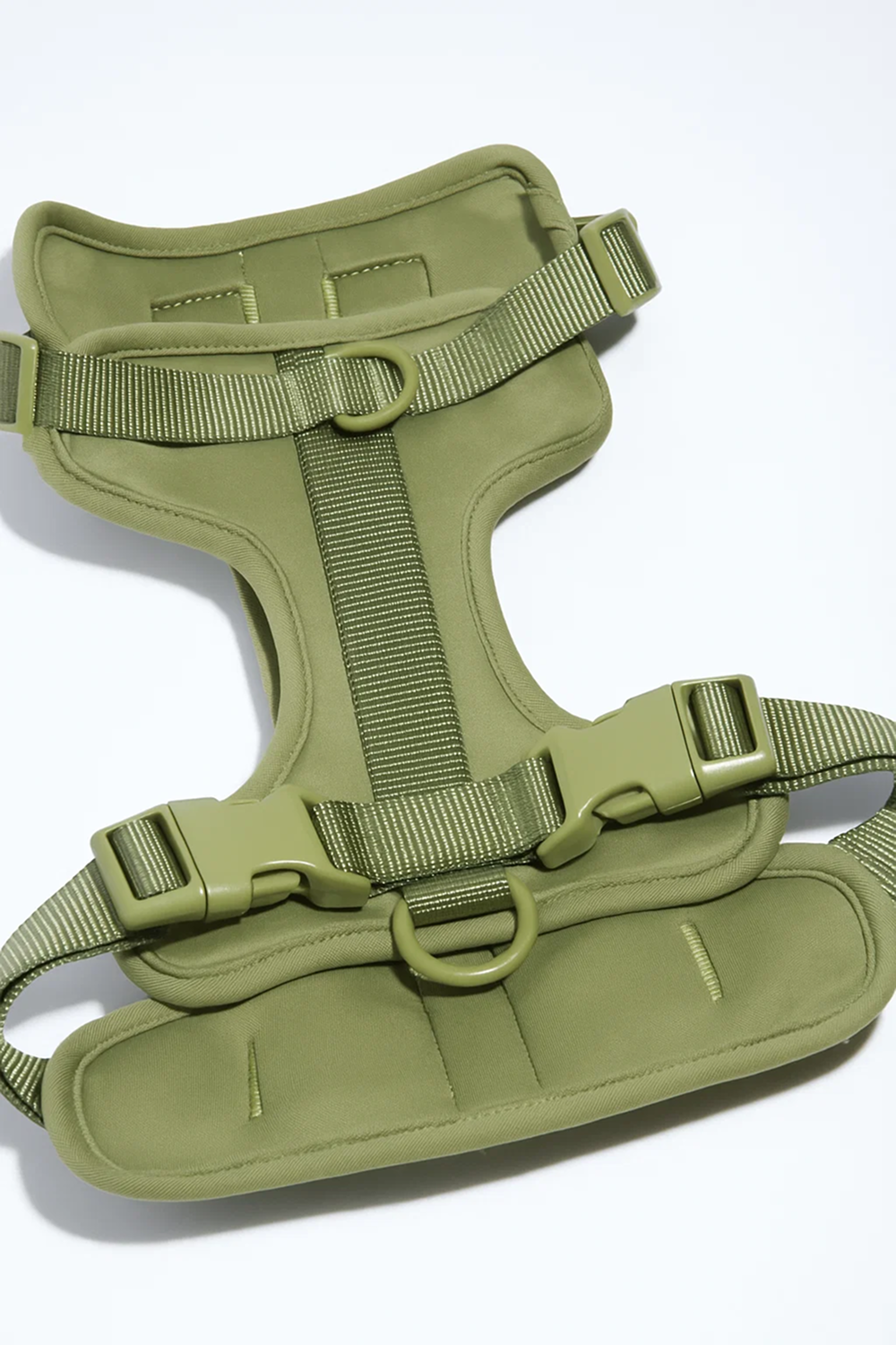 Harness