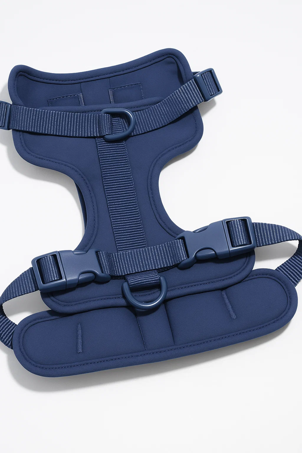 Harness